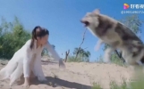 短信祝福你珍，无忧无虑乐逍遥