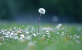 朋友的生日祝福语：愿你的生日如同细雨般温柔，洗去一年的烦忧
