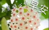 早安短信暖心祝词，让距离不再是问题