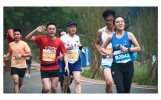 激励人心的10句话，鼓舞了无数人奋力前进！