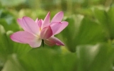 当你迷茫时，不妨读读这18个经典句子，让你大彻大悟，治愈人心