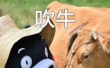 爆笑段子三则，笑到灵魂出窍！