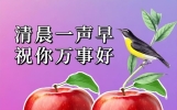 清晨祝福早上好问候语精选，新的一天，送上祝福，早安