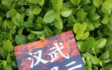 汉武风云深度解读：历史背后的人性较量与碰撞