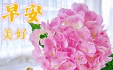 坚定信念的人生感悟心灵鸡汤语录，真诚美好的早安正能量说说
