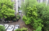 我的退休极简生活（文章第3次被抄袭，心态平和多了）