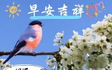 暖心的早上好问候语大全，美好的祝福日日报