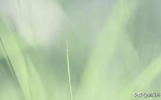 微信收藏的无风格唯美心情说说