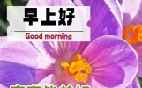 今日早上好问候语短句，健康与你相依，幸福伴你永远