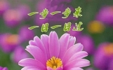 思念是心灵的温暖，牵挂是真情的体现