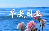 暖心的问候祝福语大全，周五早安温馨问候语图片