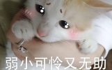 笑话十条：管理学生，要记住一点，一定不能让学生带手机到学校！