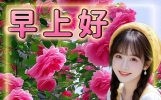 周五温馨的早安祝福图片，暖心问候祝福语大全