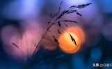 星汉西流夜未央：10首意境优美的诗词，都能背过的是高手