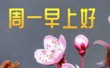今天最新早安日常祝福语，迎接新的一天