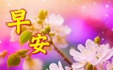 今日最新早上好问候语精选大全，相互牵挂，祝福无价！