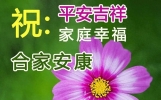 2024新版早上好祝福语暖心句子集锦，早安吉祥短语问候！