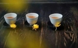 28个忍不住摘抄的智慧格言，一句顶十句，句句渡人渡己！