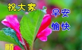开启美好一天的早上好问候语短信，温馨优美的暖心句子