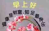 新版早上好祝福语暖心句子集锦，今天精美的祝福图片大全！