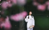 用淡淡的心情，过淡淡的日子（美文）