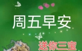 保持快乐心态的早安问候语短信，磨砺人生的正能量语录