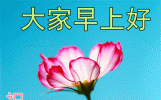 今日最新早上好问候祝福语精选，祝福满满传心意