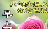 早安最美的祝福语，温馨传递正能量，早上问候语大全！