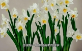 致高考学子的一封信：愿每一位参加高考的同学都能无悔青春