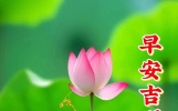 心灵鸡汤正能量美文：时光荏苒，愿你我不负时光，不负己