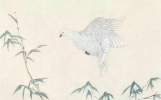 「美文推荐」诗词丨五千年来最美古诗词，美到极致！