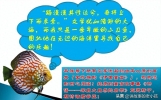 为即将中考、高考的孩子们写的爱的赞歌（励志解压短文）