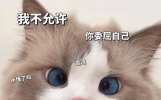 笑话十条：女儿在幼儿园吃午饭的时候把坐旁边的男生惹哭了