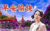 感悟人生的正能量精彩句子，简单充实，总有一句说出了你的心声