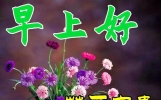 知音话语甜，情谊永相伴，早安送问候！