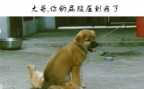 爆笑经典卖家搞笑冷笑话，糗事小明爆笑笑话