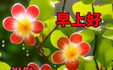今日最新早上好问候祝福语精选，问候声声到，心意时时传