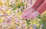 19句别人说我什么都无所谓的心情说说