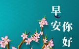 一分关心，一分问候，与你的友谊“入木三分”
