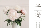 6月24日新版早上好祝福语暖心句子集锦，早安吉祥短语问候！