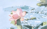 三十条诗情画意，满满都是惊艳的诗词，快来看看有没有喜欢的吧