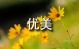 励志优美段落摘抄