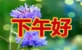 下午祝福问候短信大全