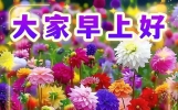 今日最新早上好问候语精选，一句问候，一生情深