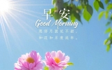 老友问候早安暖心句子 朋友之间友谊早安问候的经典句子