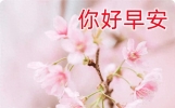 最新版早安祝福问候语大全，最美问候