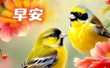 早上好祝福，淡淡言语留芬芳，声声问候情谊长