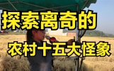 农村奇闻录：十五大怪象，揭秘乡土深处的独特韵律
