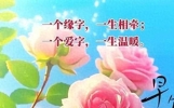 早安！一声朋友一世情，清晨问候情谊深