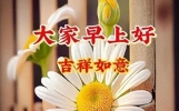 简单真诚的早上好问候语短信，阳光明媚，充满诗意